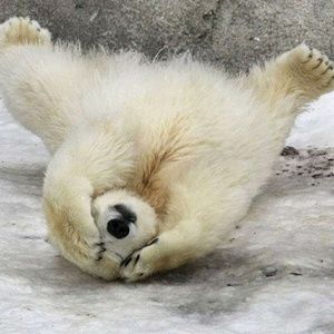 Meet your Posher, Melinda